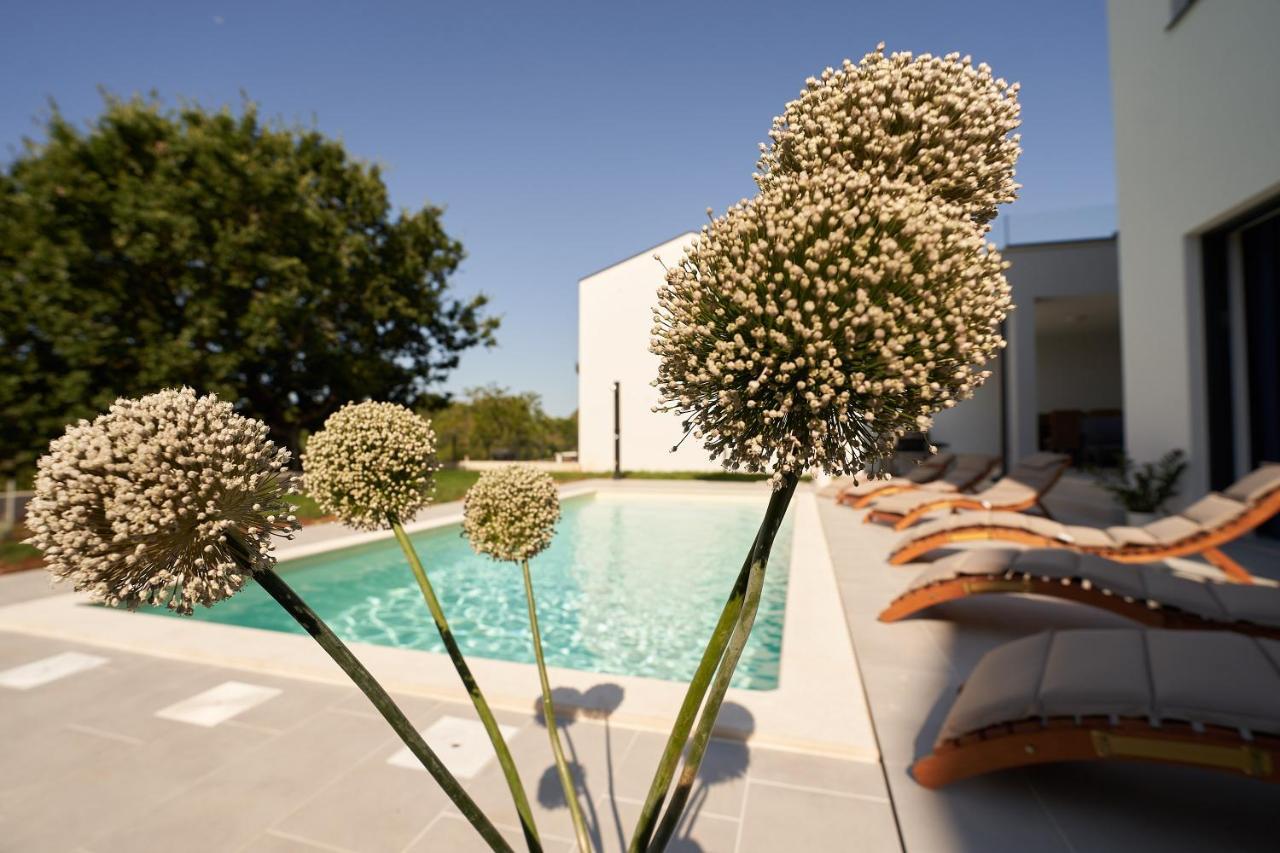 Villa Martin Noel Poreč Exterior foto